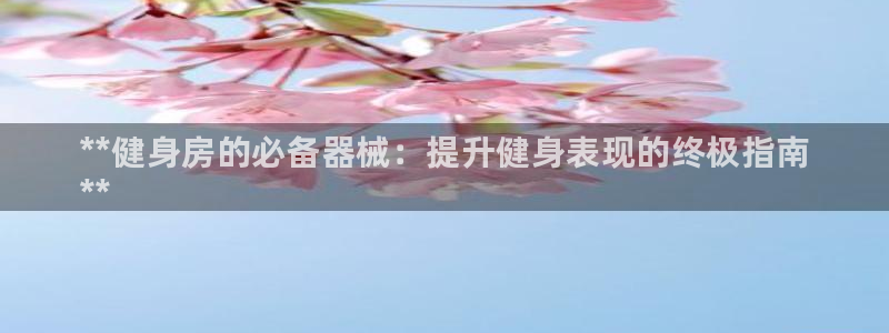 尊龙d88平台版下载:**健身房的必备器械:提升健身表现的终