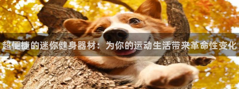 尊龙凯时的生产设备:超便捷的迷你健身器材:为你的运动生活带来