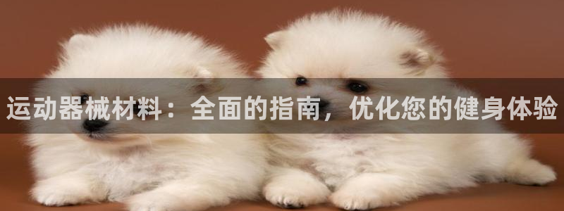 尊龙凯时有假么:运动器械材料:全面的指南,优化您的健身体验