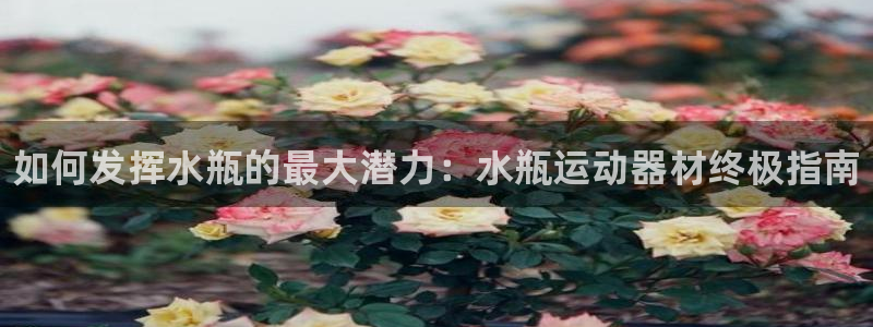 尊龙凯时 人生就是搏:如何发挥水瓶的最大潜力:水瓶运动器材终