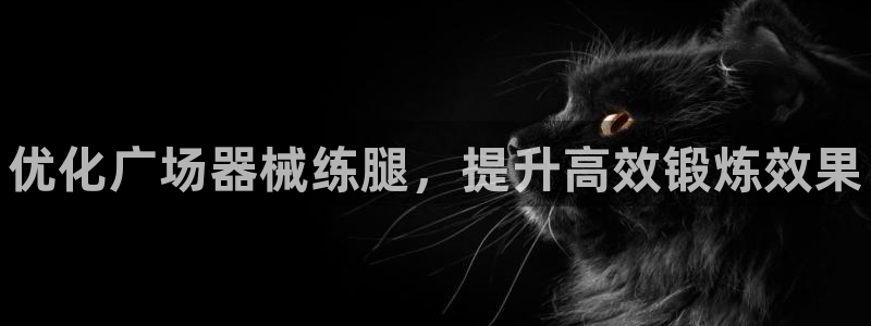 尊龙是什么软件:优化广场器械练腿,提升高效锻炼效果